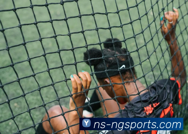 NG体育平台生态图